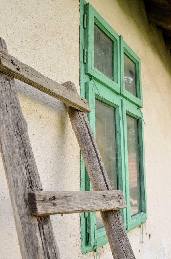 Kuca Za Odmor Radovanovic Деспотовац Екстериор снимка